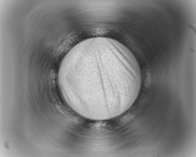 X0000103930366200810031304