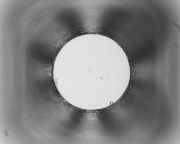 X0000103930368200810031304