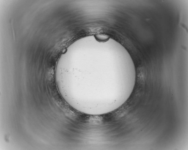 X0000103930369200810031304