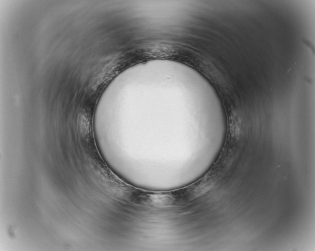 X0000103930371200810031304