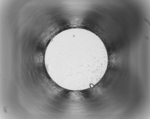 X0000103930372200810031304