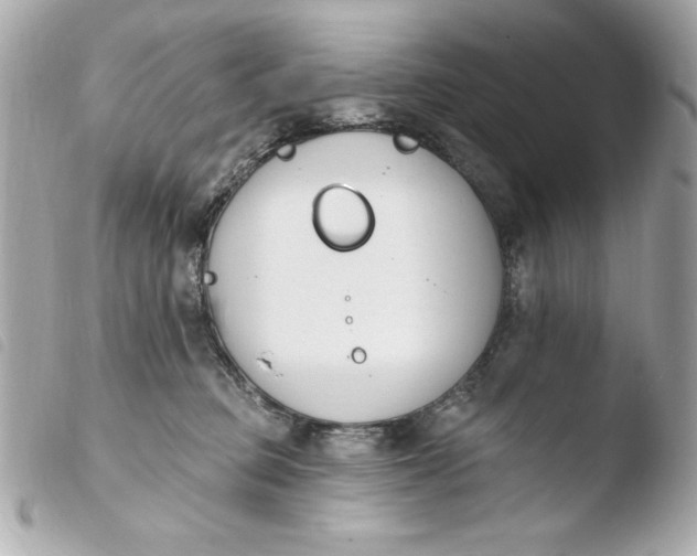 X0000103930373200810031304