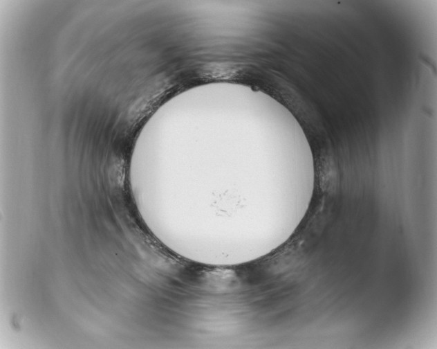 X0000103930374200810031304