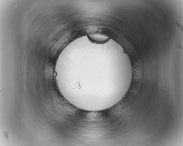 X0000103930375200810031304