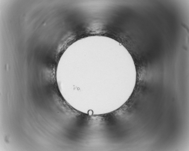 X0000103930376200810031304