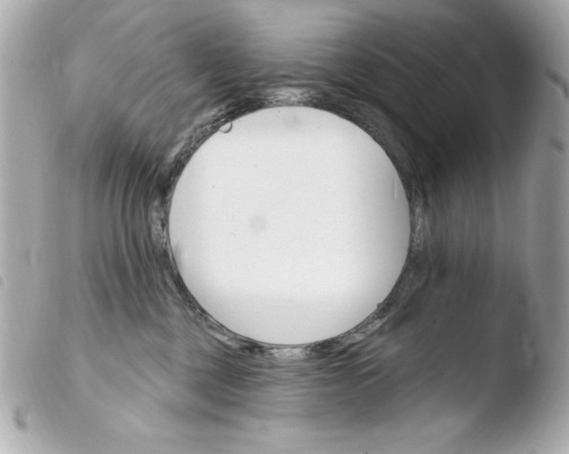 X0000103930377200810031304