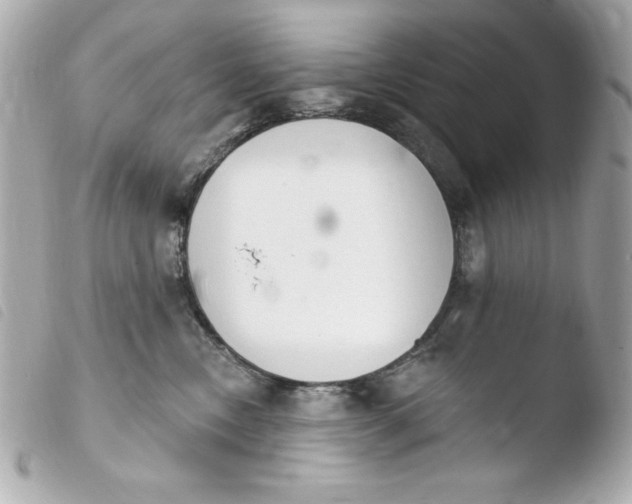 X0000103930378200810031304