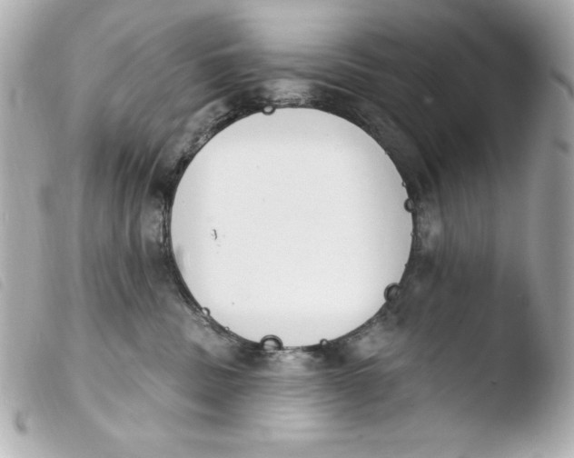 X0000103930379200810031304