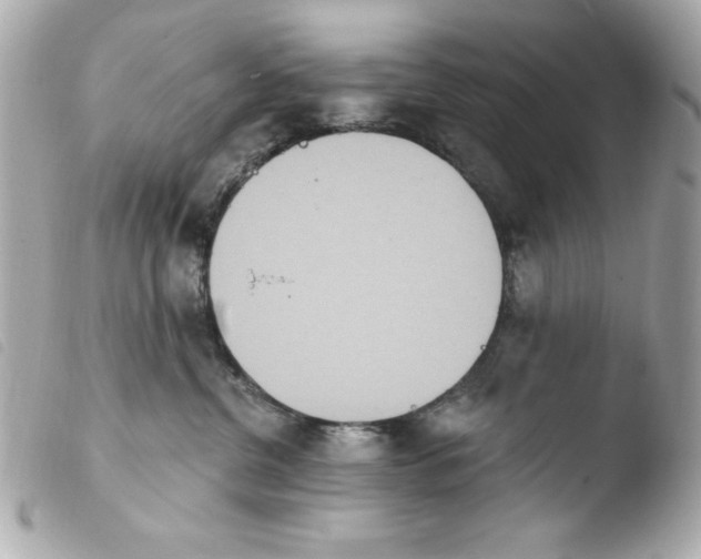 X0000103930380200810031304