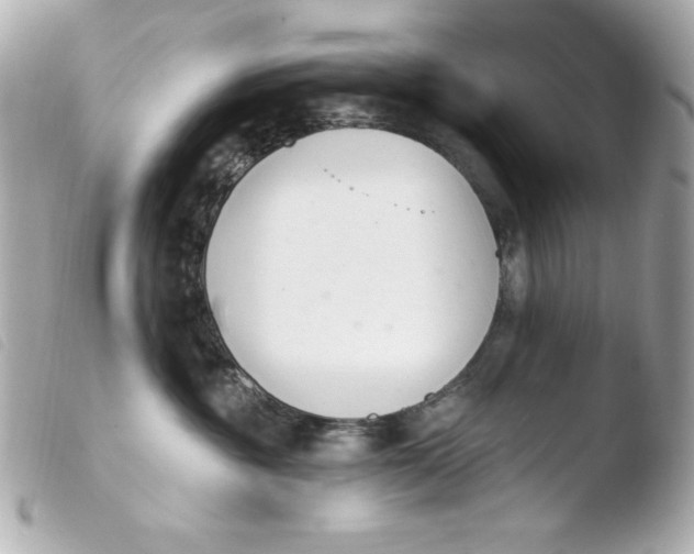 X0000103930381200810031304