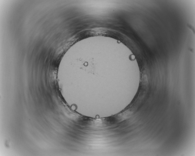 X0000103930382200810031304