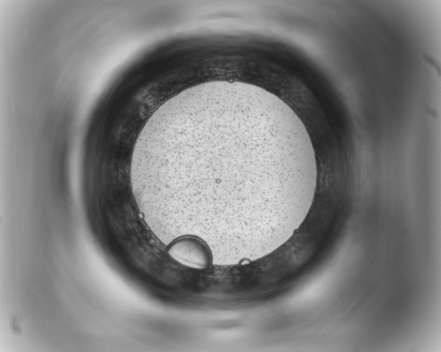 X0000103930383200810031304