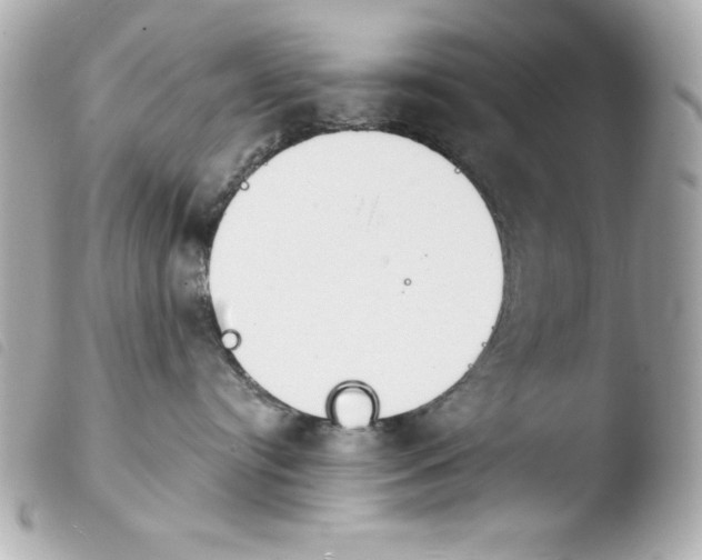 X0000103930384200810031304