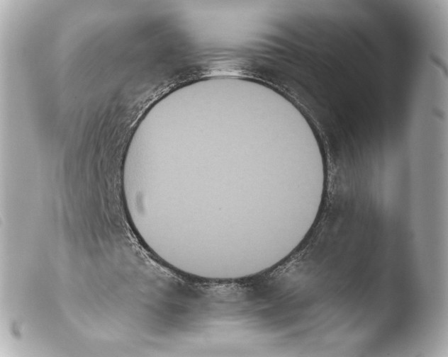 X0000103930385200810031304