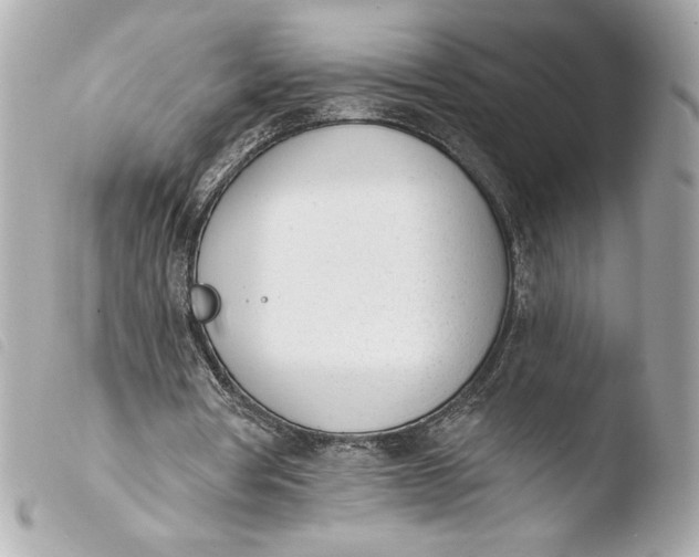 X0000103930386200810031304