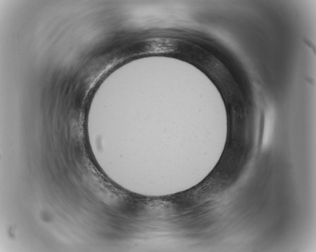 X0000103930387200810031304