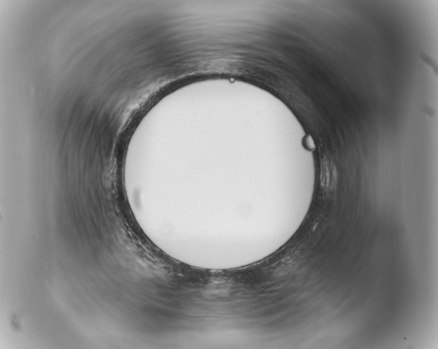 X0000103930388200810031304