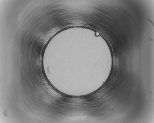 X0000103930389200810031304