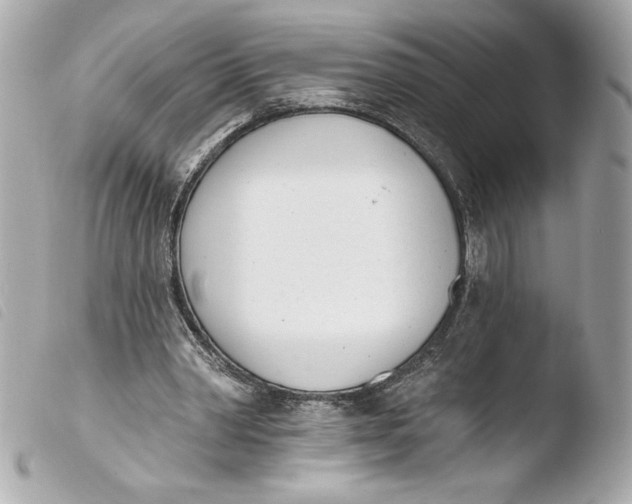 X0000103930390200810031304