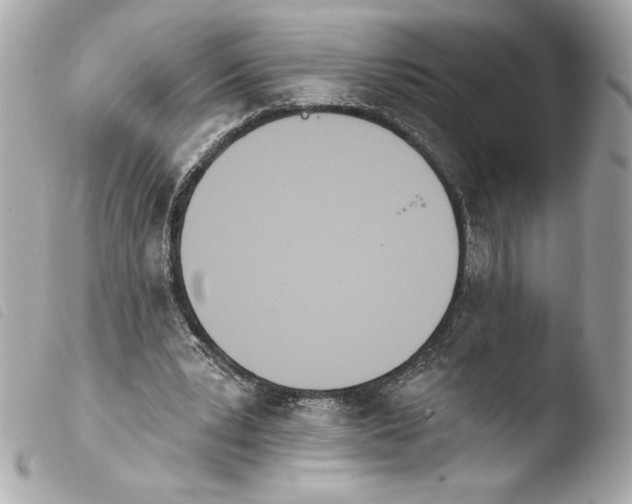 X0000103930391200810031304