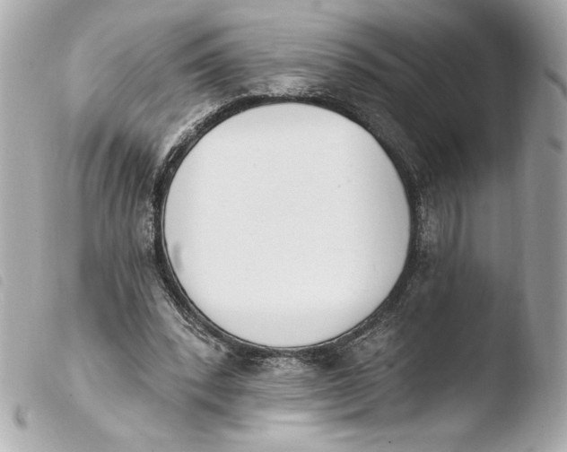 X0000103930392200810031304