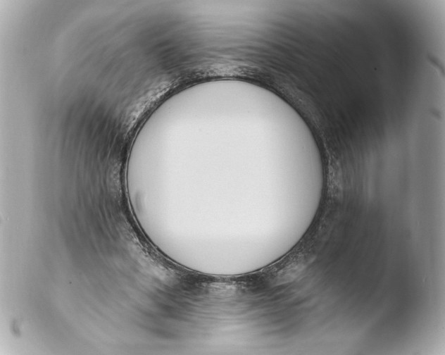 X0000103930394200810031304