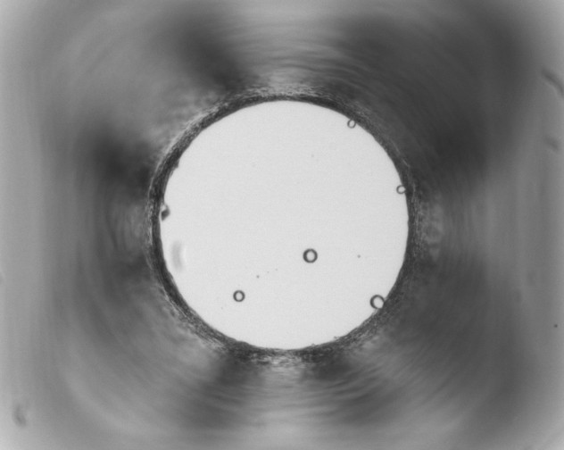 X0000103930395200810031304