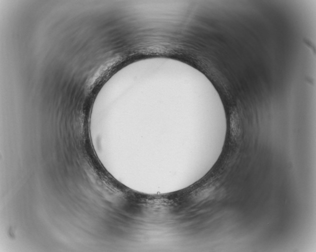 X0000103930396200810031304