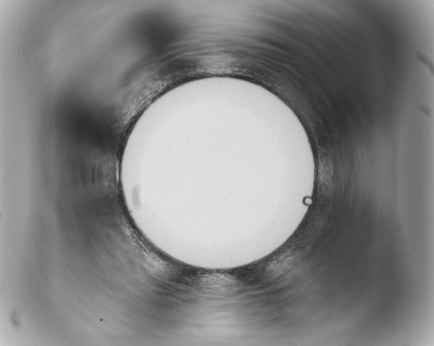 X0000103930397200810031304