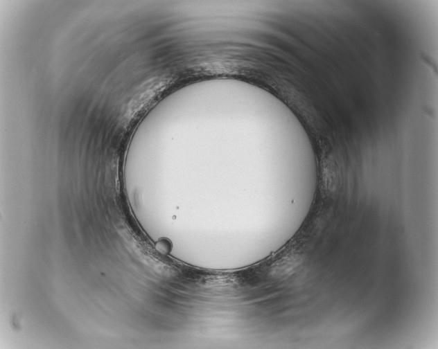 X0000103930398200810031304