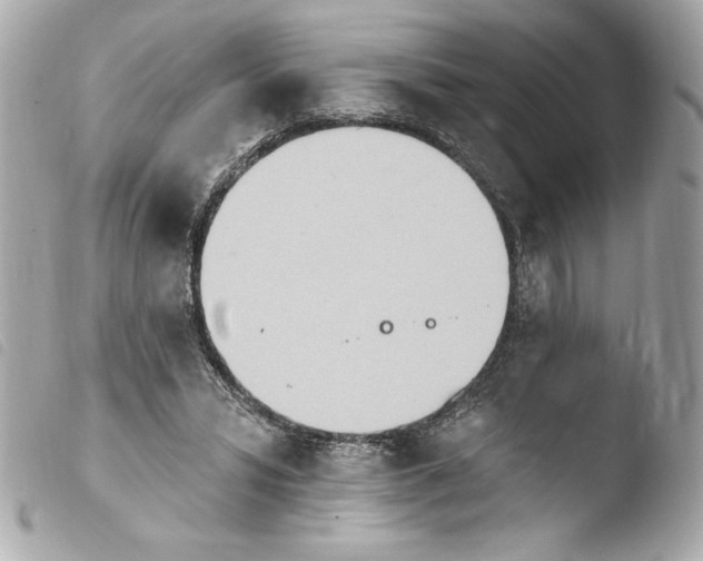 X0000103930399200810031304