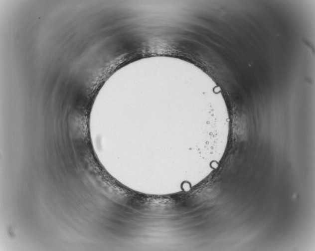 X0000103930401200810031304