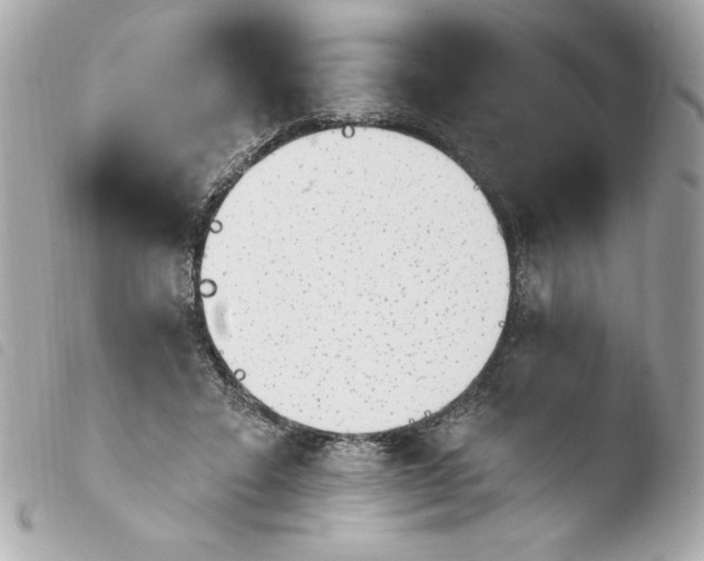 X0000103930403200810031304