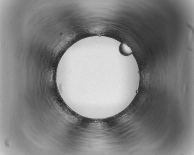 X0000103930404200810031304