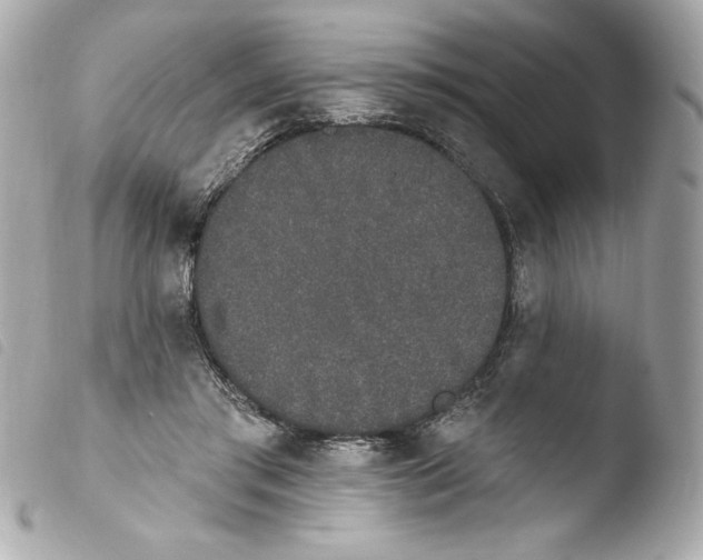 X0000103930405200810031304