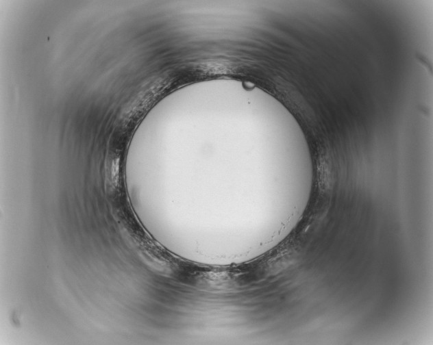 X0000103930406200810031304