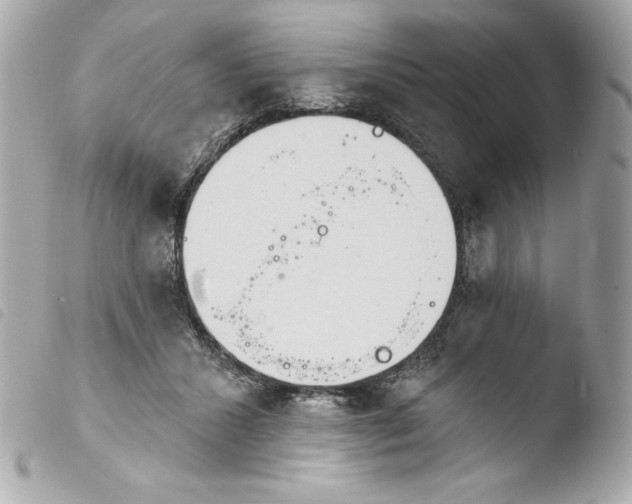 X0000103930407200810031304