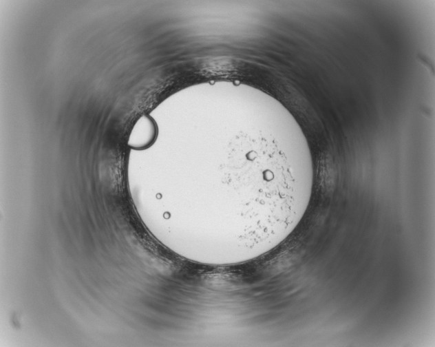 X0000103930408200810031304