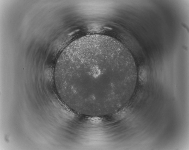 X0000103930409200810031303