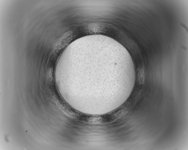 X0000103930410200810031303