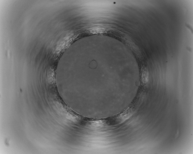 X0000103930411200810031303