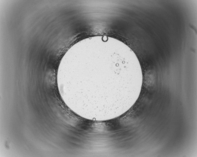 X0000103930413200810031303