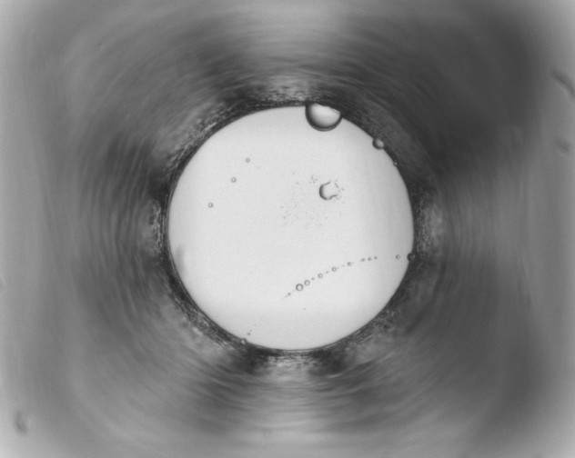 X0000103930414200810031303