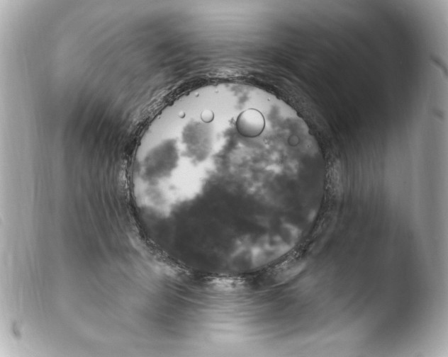 X0000103930415200810031303