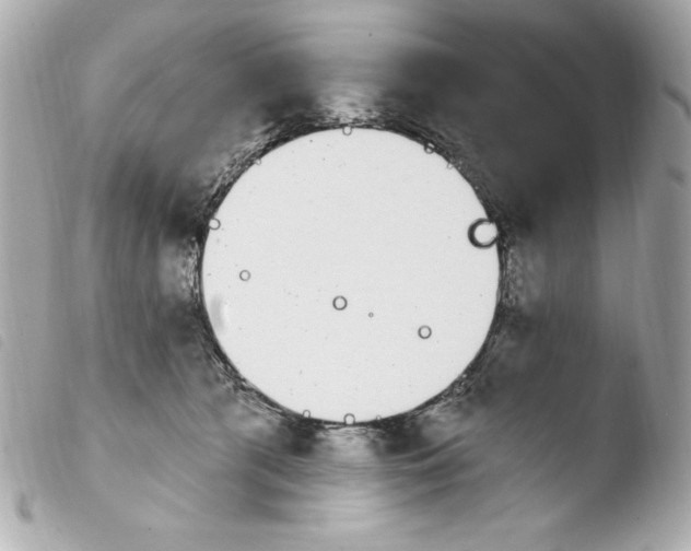 X0000103930417200810031303