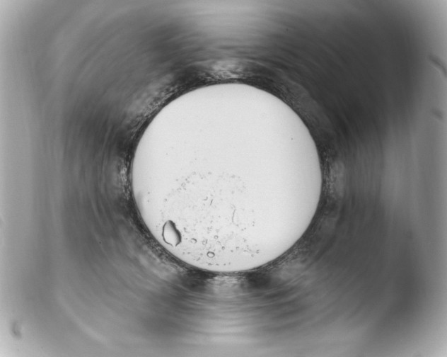 X0000103930418200810031303