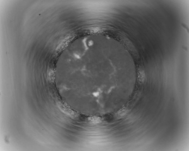 X0000103930419200810031303