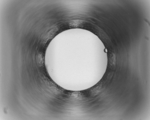 X0000103930420200810031303