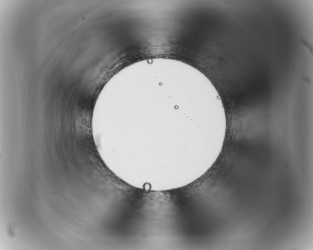 X0000103930421200810031303