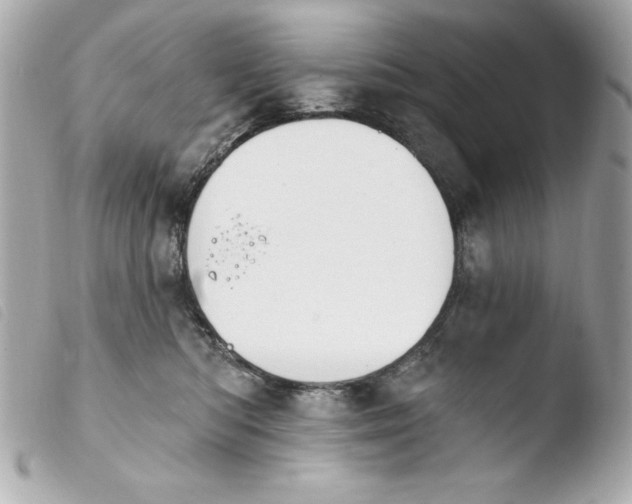 X0000103930422200810031303